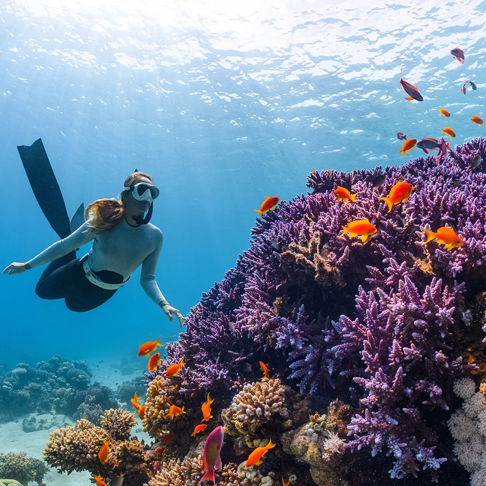 Diving action shot before Pixometry processing