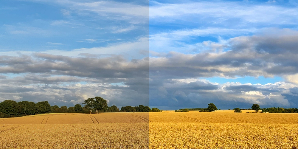 A grain field split down the middle: dull, flat colours on the left; vivid, punchy colours on the right. Pixometry in one glance.